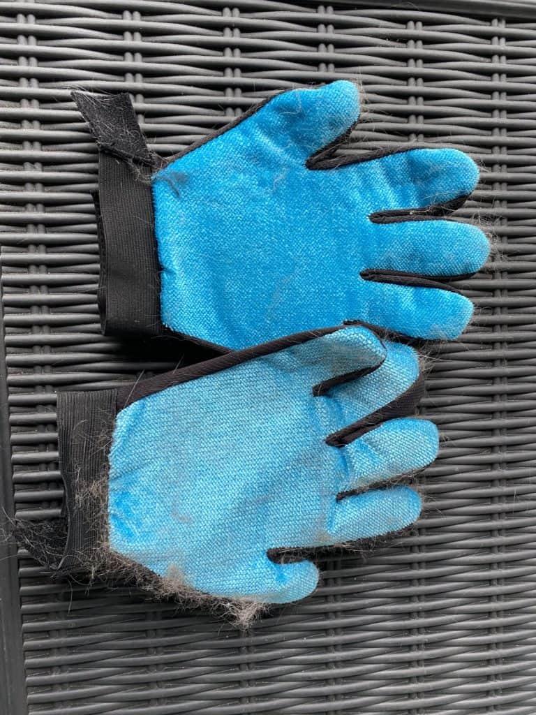 Bürsten Handschuh